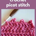 row of double crochet with 3 picot stitches and text reading how to do a crochet picot stitch