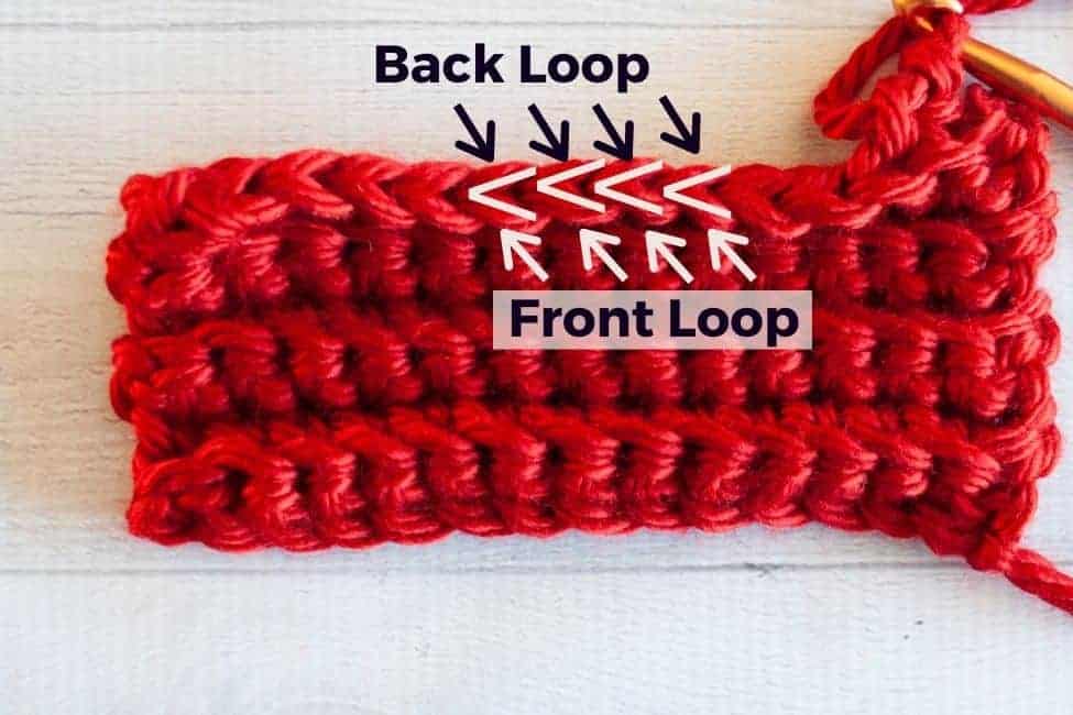 swatch of sc blo only with top edge labeled to show the location of the back loops and front loops