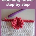 blooming crochet flower in pink and white and text reading how to crochet a blooming flower step by step