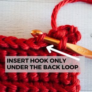 text reading insert hook only under back loop with arrow pointing to where hook is being inserted